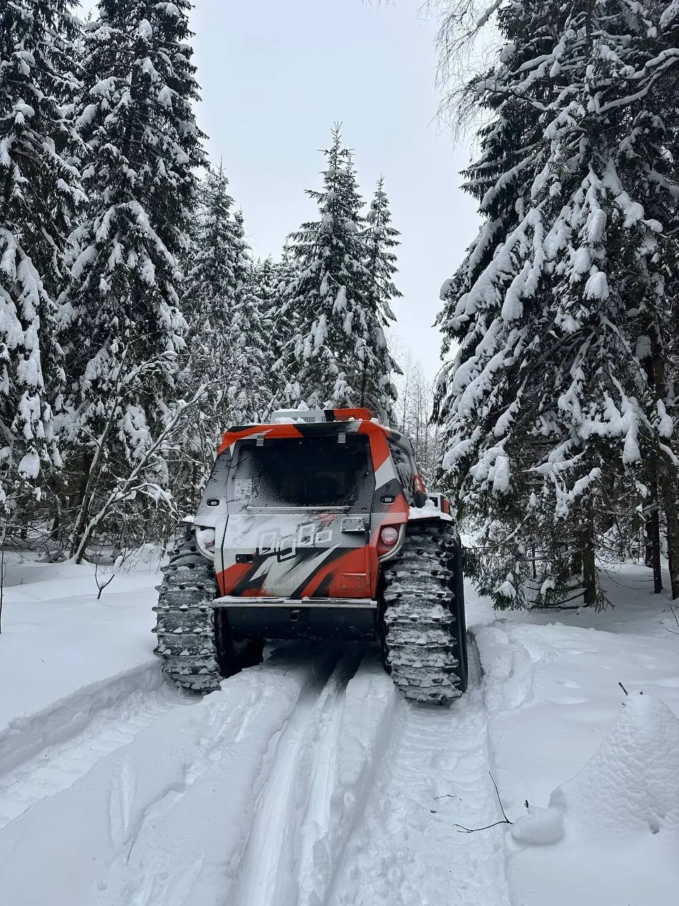 Наш субботний выезд на BigBo!