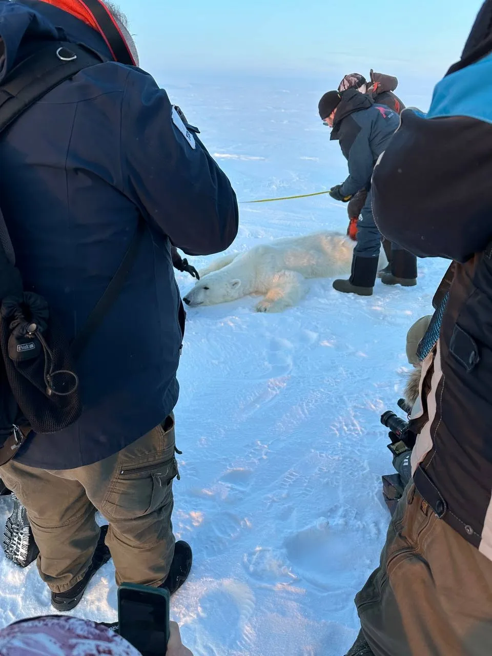 Продолжение истории экспедиции в Арктике.